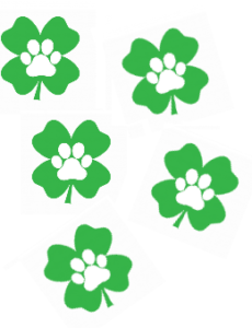 lucky paw prints